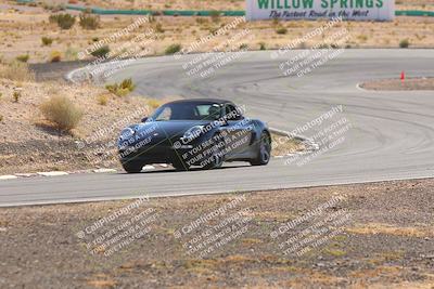 media/Oct-25-2025-West Coast Racing (Sat) [[9fdcbcd09c]]/Novice group/Turn 3/